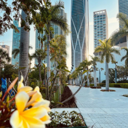 a walkway with trees and flowers
